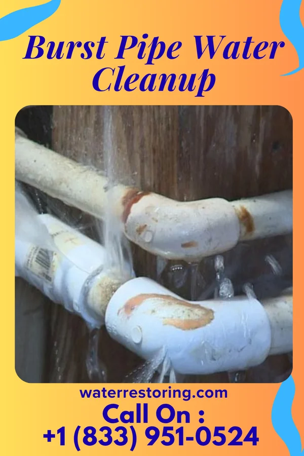 Burst Pipe Water Cleanup in Holiday Lakes, OH