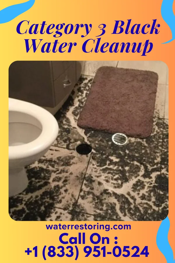 Category 3 Black Water Cleanup in Holiday Lakes, OH