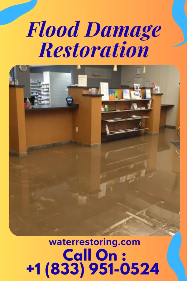 Flood Damage Restoration in Holiday Lakes, OH