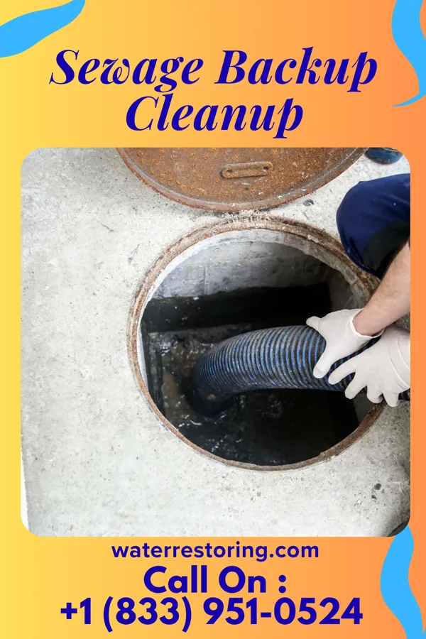Sewage Backup Cleanup in Holiday Lakes, OH