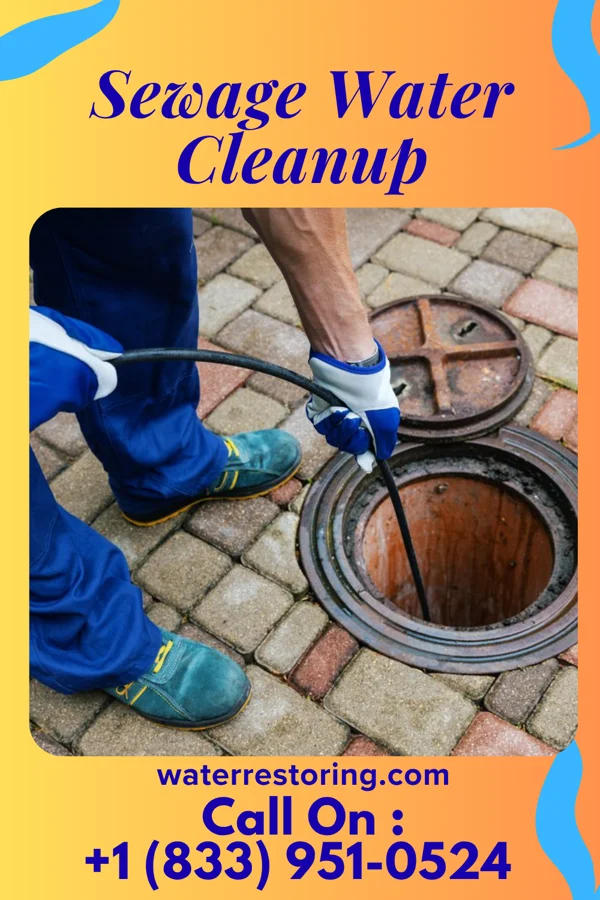 Sewage Water Cleanup in Holiday Lakes, OH
